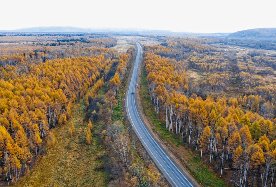 На 25,5 % снизилось количество ДТП на федеральных трассах Сахалинской области по итогам 2025 года 